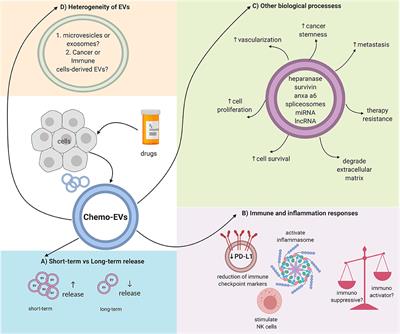 Impact of Chemotherapy on Extracellular Vesicles: Understanding the Chemo-EVs